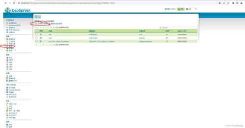 在GeoServer上發(fā)布WMS地圖服務(wù) 集成數(shù)據(jù)庫與計(jì)算機(jī)網(wǎng)絡(luò)服務(wù)