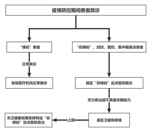 蘭州市疫情防控期間 非綠碼 患者就診流程圖定點(diǎn)醫(yī)院及24小時(shí)咨詢服務(wù)熱線 數(shù)據(jù)庫及計(jì)算機(jī)網(wǎng)絡(luò)服務(wù)